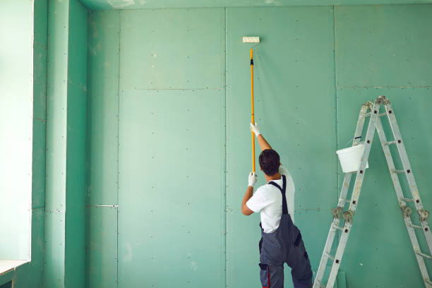 Best Mold Removal for HVAC Installations  in Minden, NV