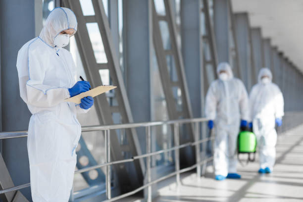Best Mold Damage Restoration  in Minden, NV
