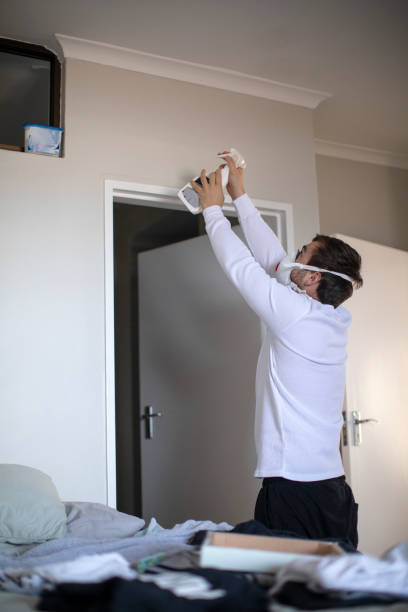 Best Real Estate Mold Inspection  in Minden, NV