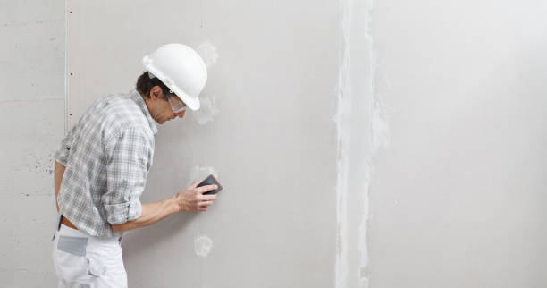 Best Attic Mold Removal  in Minden, NV
