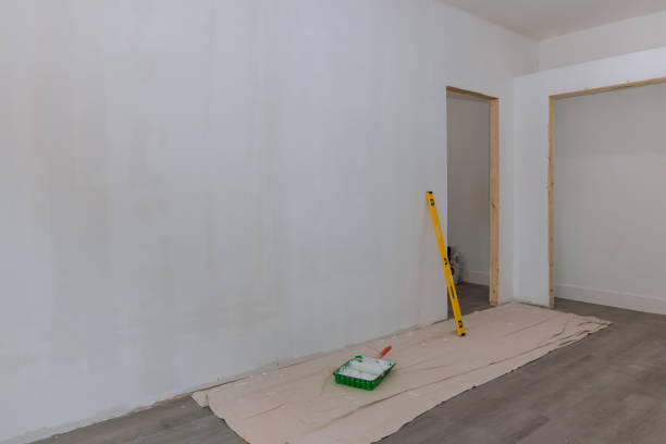 Best Asbestos and Lead Testing During Mold Inspection  in Minden, NV