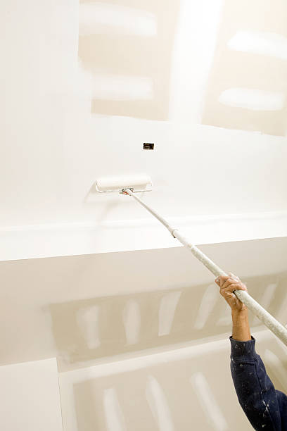 Best Attic Mold Removal  in Minden, NV