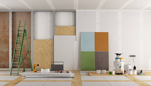Best HVAC Mold Inspection and Cleaning  in Minden, NV