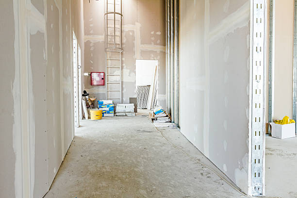 Best Post-Construction Mold Inspection  in Minden, NV