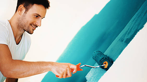 Best Emergency Mold Remediation  in Minden, NV