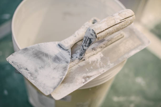 Trusted Minden, NV Mold Removal Experts