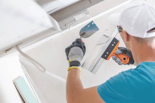 Best Basement Mold Removal  in Minden, NV